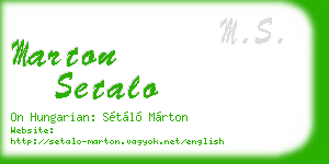 marton setalo business card
